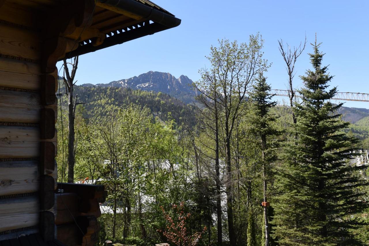 Willa Wojciechowo Zakopane Exteriér fotografie