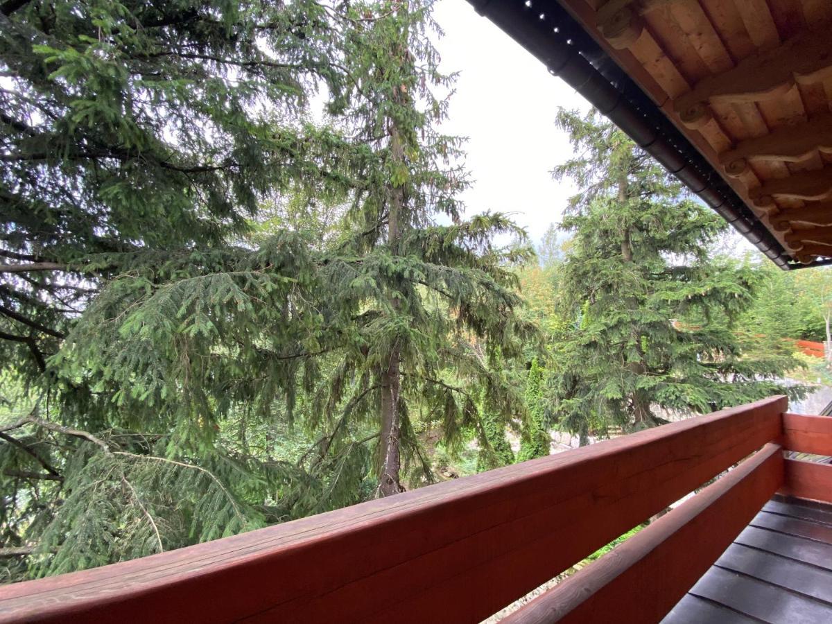 Willa Wojciechowo Zakopane Exteriér fotografie