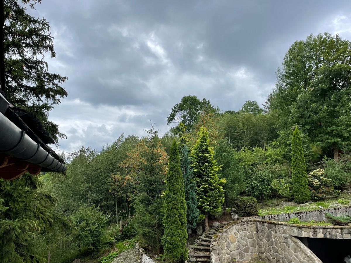 Willa Wojciechowo Zakopane Exteriér fotografie